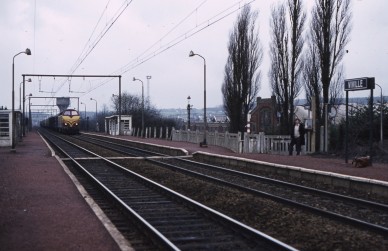 Vivile - TH 81-1928.jpg